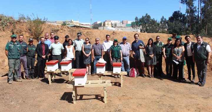 Internos de Valparaíso producirán su propia miel