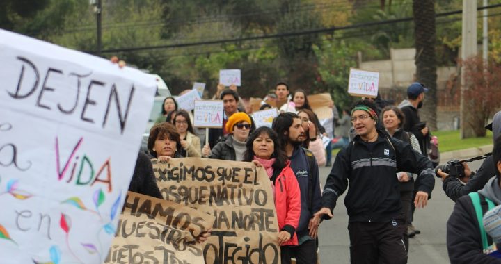 Quilpué: Vecinos de Paso Hondo se manifestaron en contra de inmobiliarias
