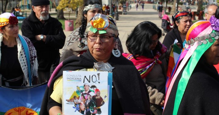Asociaciones de Pueblos Originarios de Marga Marga manifestaron su rechazo a Consulta Indígena