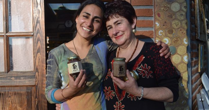 Casablanca: Madre e hija mantienen viva centenaria producción de abejas
