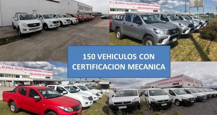 Tattersall GDA rematará más de 120 vehículos de forma online en el sur de Chile