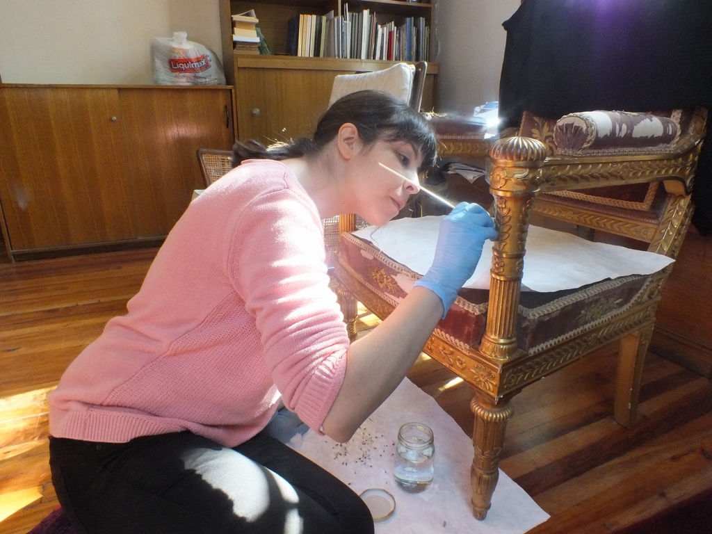 Inician proceso de restauración de importantes piezas del Palacio Rioja