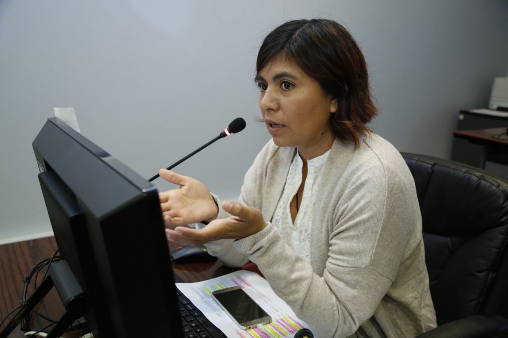 Core Valeria Melipillán expresó preocupación por proyecto ARI en Feria El Belloto