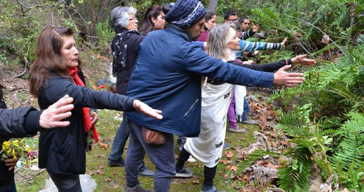 Dirigentes de La Vega en Olmué enseñarán a sus vecinos cómo usar de forma eficiente el agua