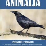 Animalia, de Lilian Elphick: crónica literaria de Eddie Morales Piña